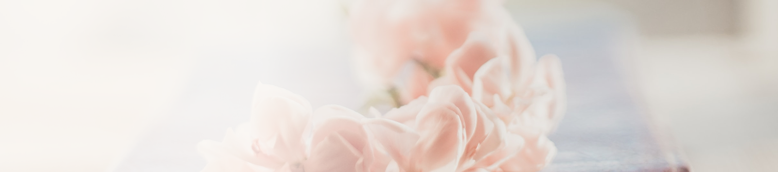 Mjuka rosa blommor i oskarp fokus mot en ljus bakgrund.