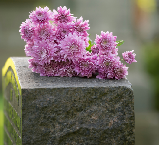 A cluster of pink chrysanthemums rests on a weathered stone surface, with blurred greenery in the background.